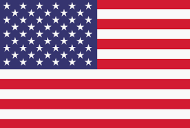 usa store flag